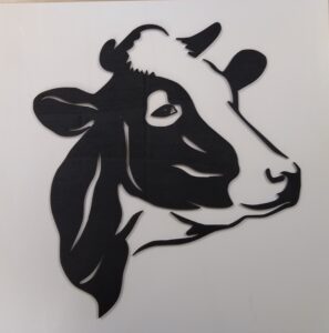 Holsteiner koe